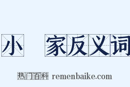 小說家反义词是什么意思的图片